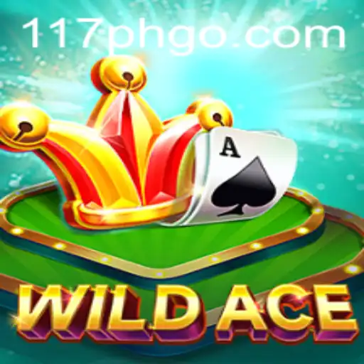 WildAce Game Overview